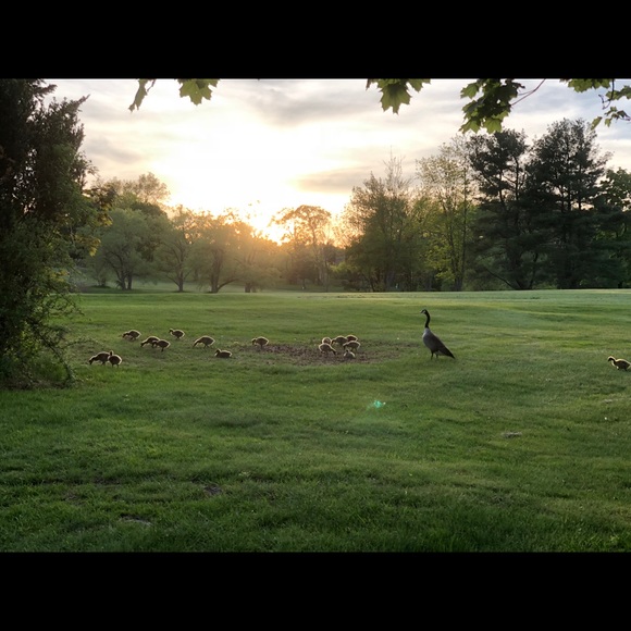 Meet your Posher, Joseph - Picture 1 of 1